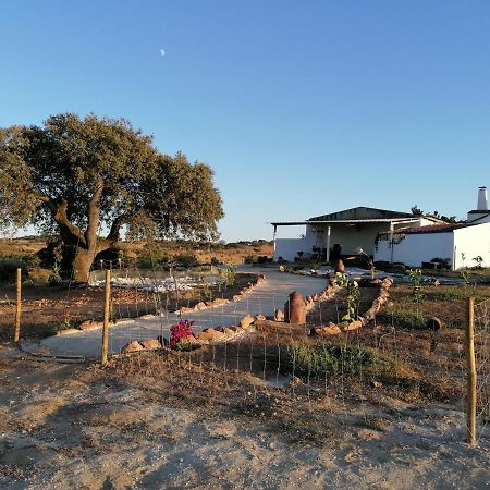 Monte Beatriz Villa Регуенгос де Монсараз Екстериор снимка