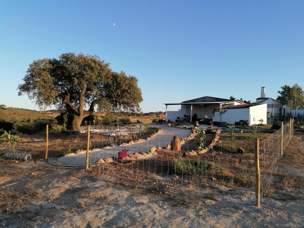 Monte Beatriz Villa Регуенгос де Монсараз Екстериор снимка